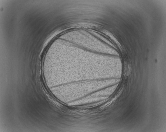 X0000081431075200702021646