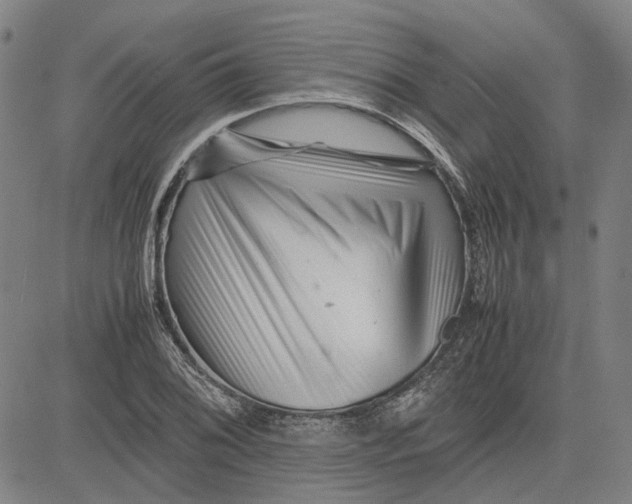 X0000081431076200702021646