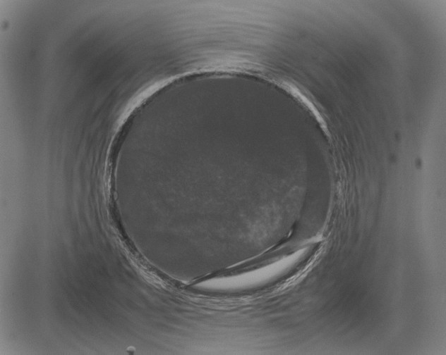 X0000081431077200702021646