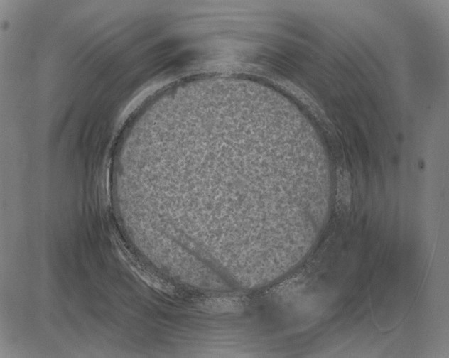 X0000081431078200702021646