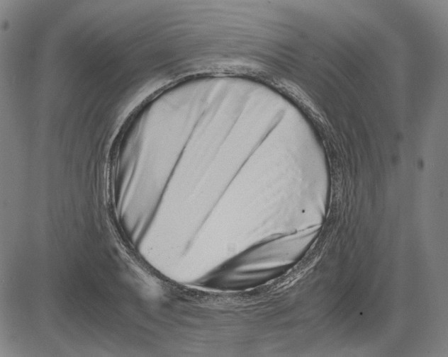 X0000081431079200702021646