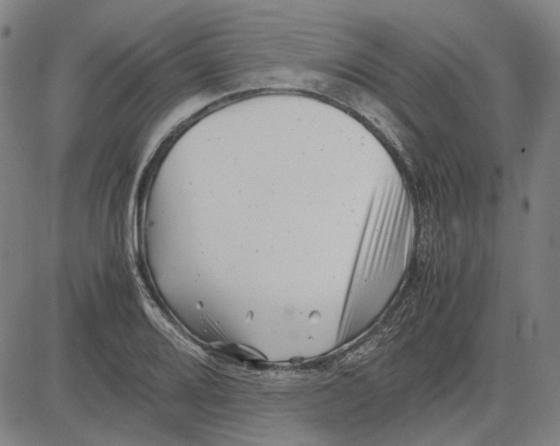 X0000081431080200702021646