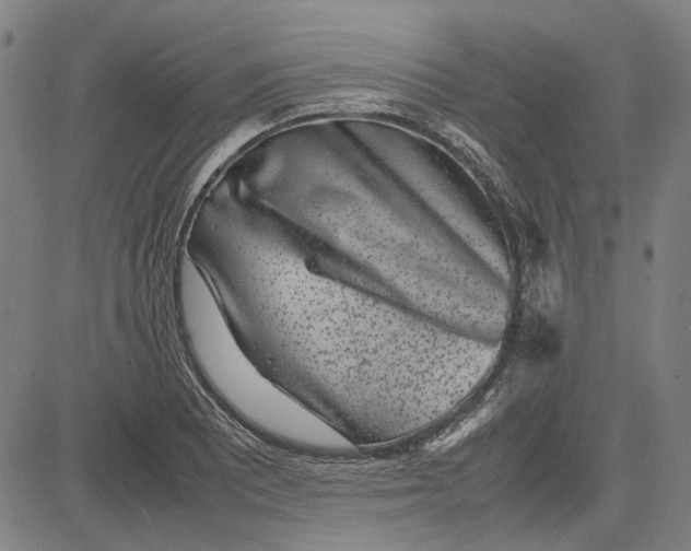 X0000081431081200702021646