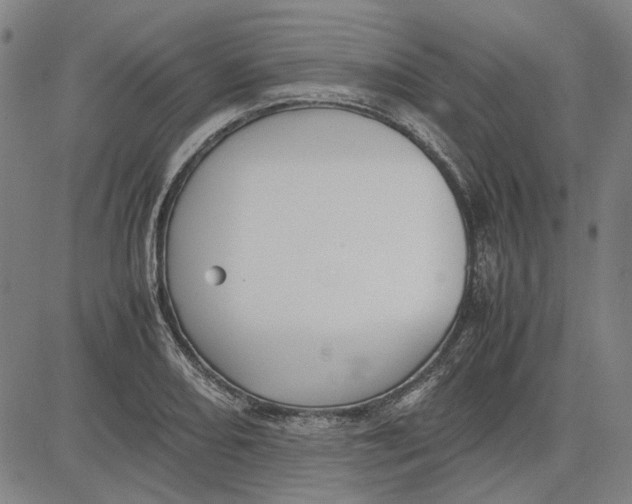 X0000081431082200702021646