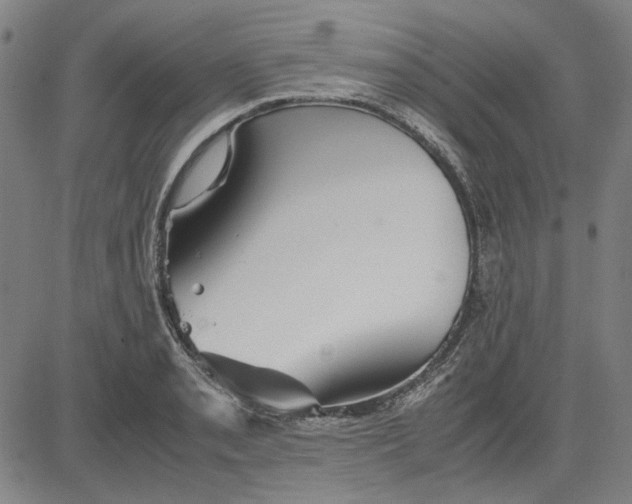 X0000081431085200702021646