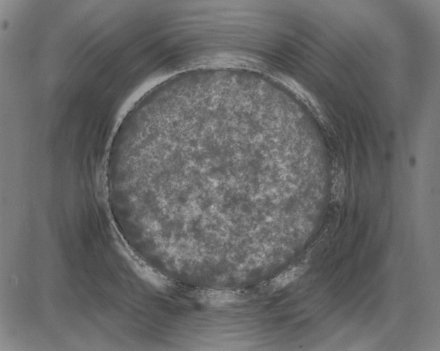 X0000081431086200702021646