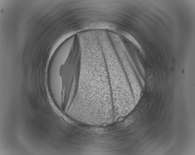 X0000081431088200702021646