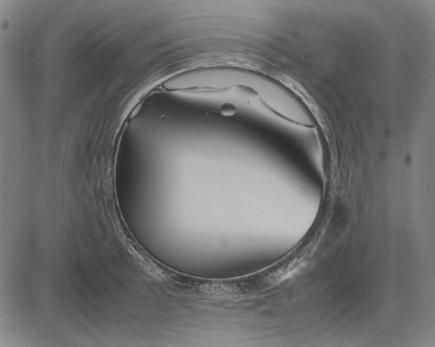 X0000081431089200702021646