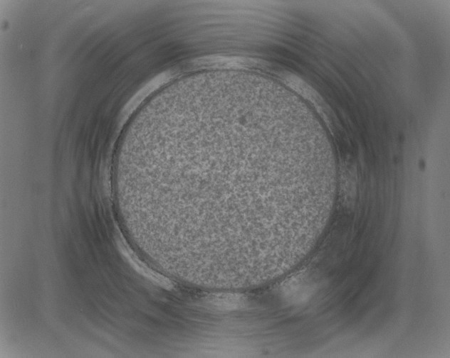 X0000081431090200702021646