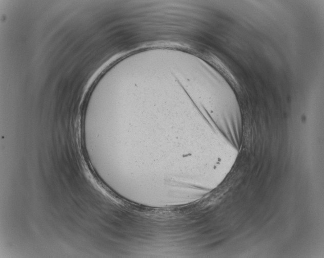 X0000081431092200702021646