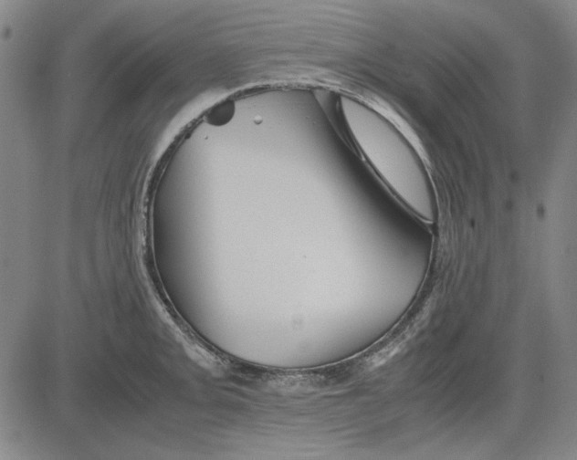 X0000081431093200702021646