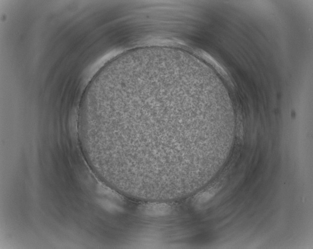 X0000081431094200702021646