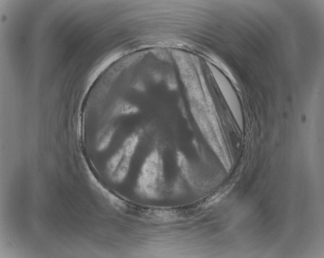 X0000081431095200702021646