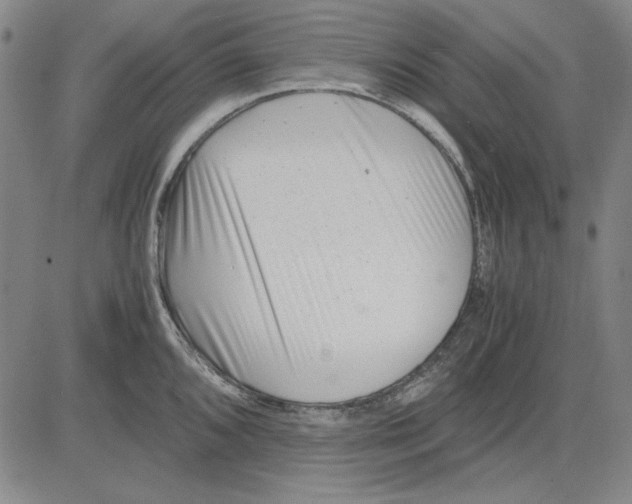 X0000081431096200702021646