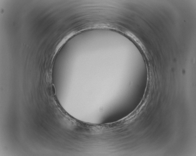 X0000081431097200702021646