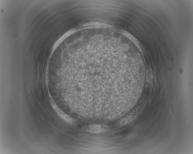 X0000081431098200702021646