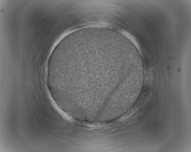 X0000081431099200702021646