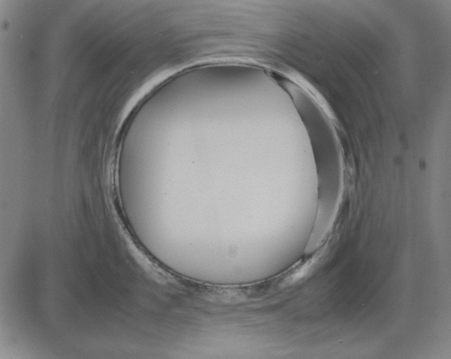 X0000081431101200702021646