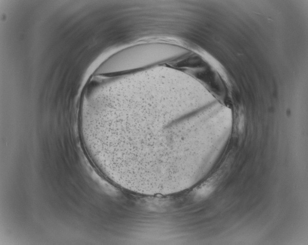 X0000081431102200702021646