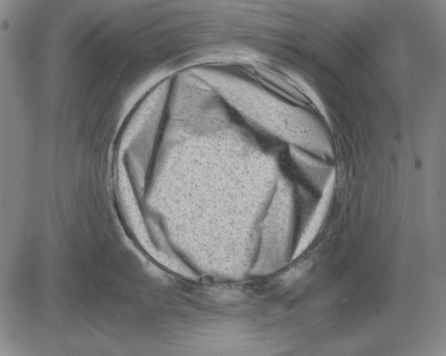 X0000081431103200702021646