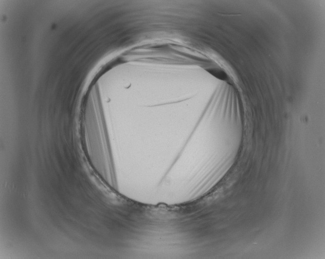 X0000081431104200702021646