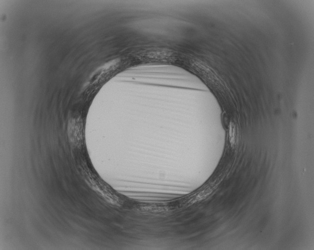 X0000081431107200702021645