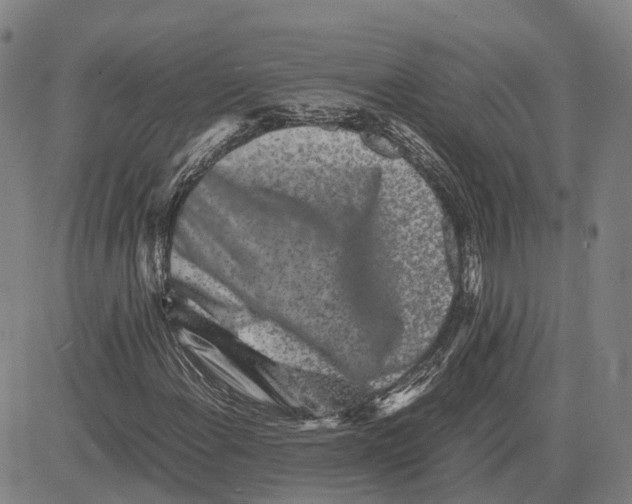 X0000081431108200702021645