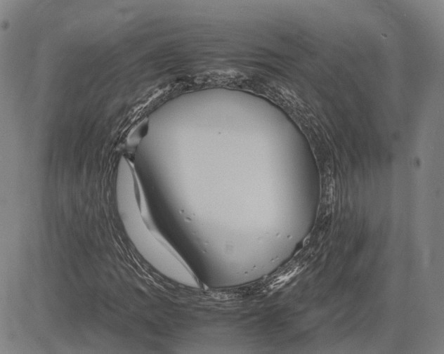 X0000081431109200702021645