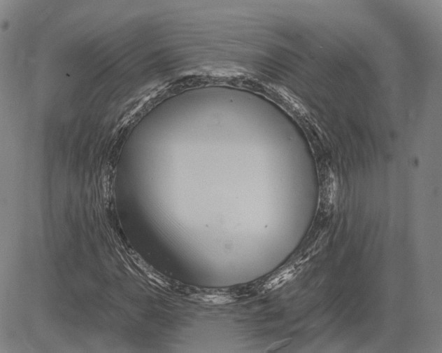 X0000081431110200702021645