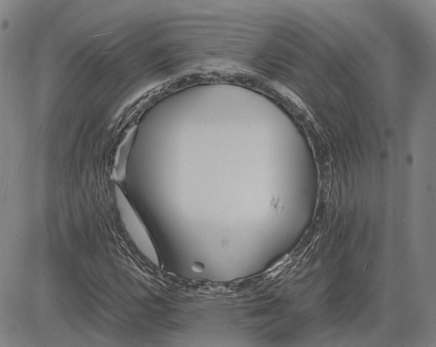 X0000081431112200702021645