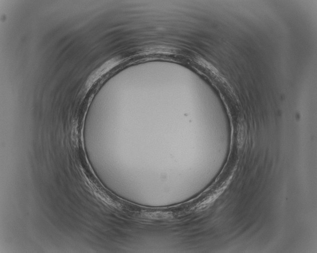 X0000081431113200702021645