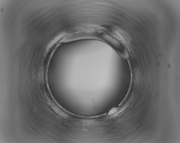 X0000081431114200702021645