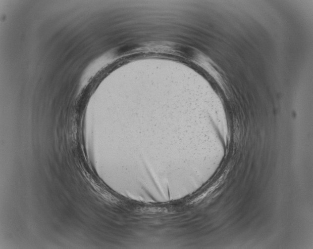 X0000081431115200702021645