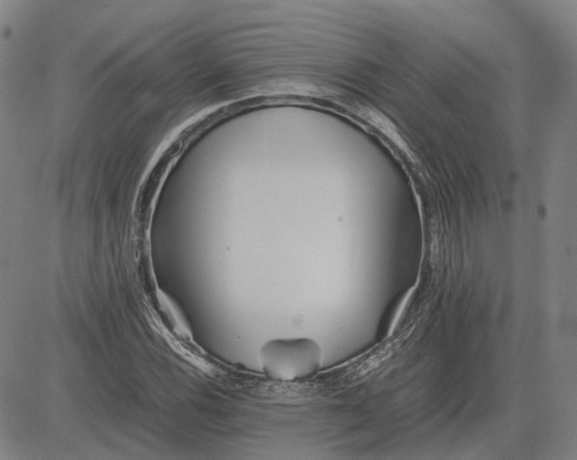 X0000081431116200702021645