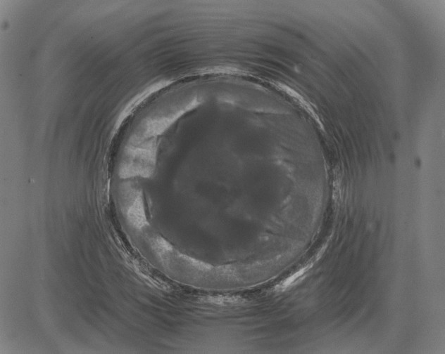 X0000081431117200702021645