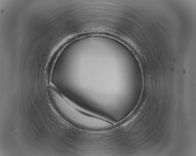 X0000081431118200702021645