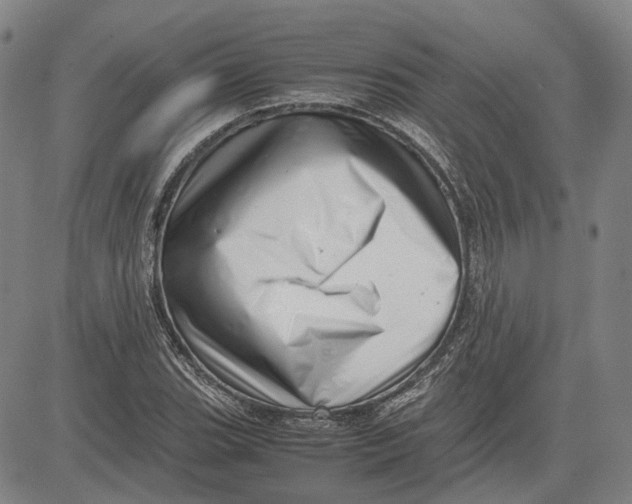 X0000081431119200702021645