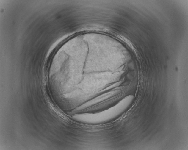 X0000081431120200702021645