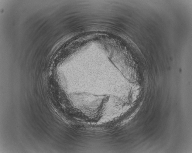 X0000081431121200702021645