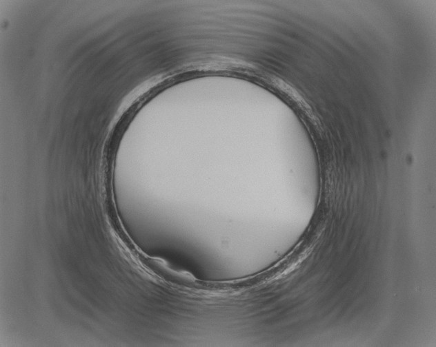 X0000081431122200702021645