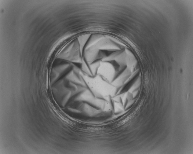 X0000081431123200702021645