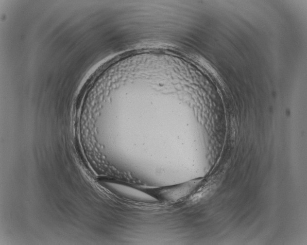 X0000081431124200702021646