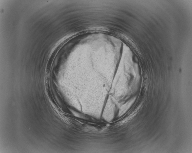 X0000081431125200702021646