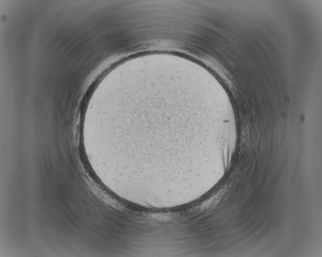 X0000081431126200702021646