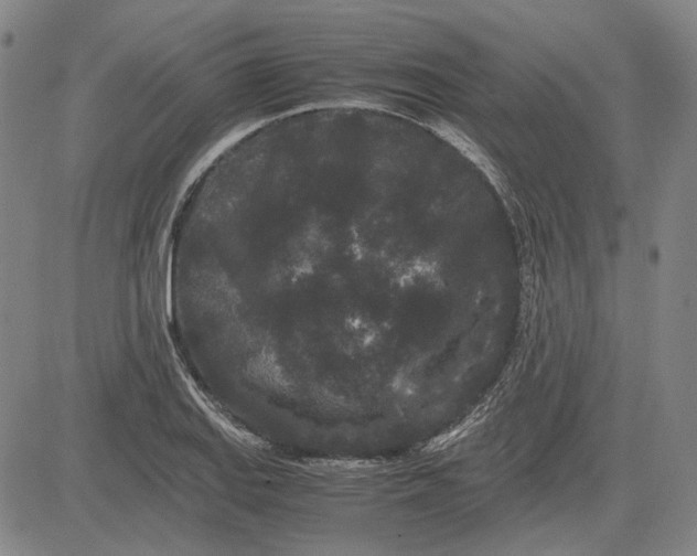 X0000081431127200702021646