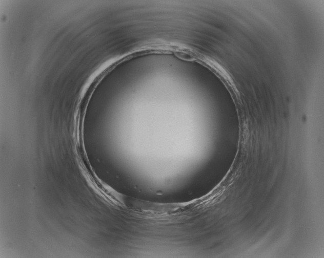 X0000081431128200702021646