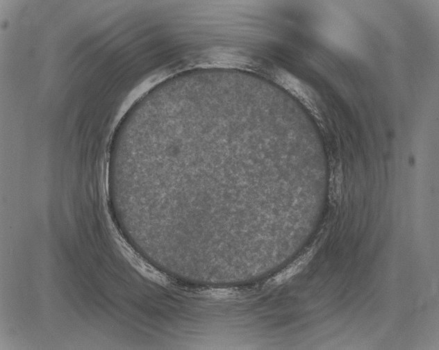 X0000081431130200702021646