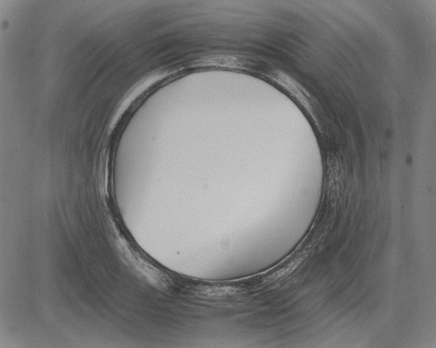 X0000081431131200702021646