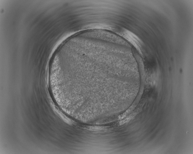 X0000081431132200702021646