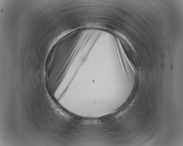 X0000081431133200702021646